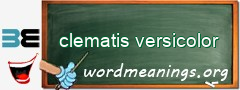 WordMeaning blackboard for clematis versicolor